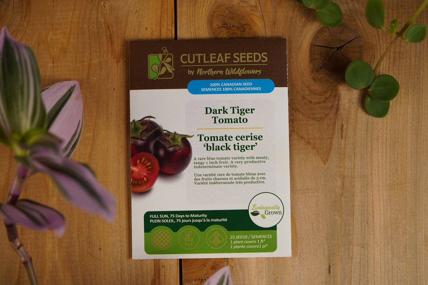 Tomato Dark Tiger