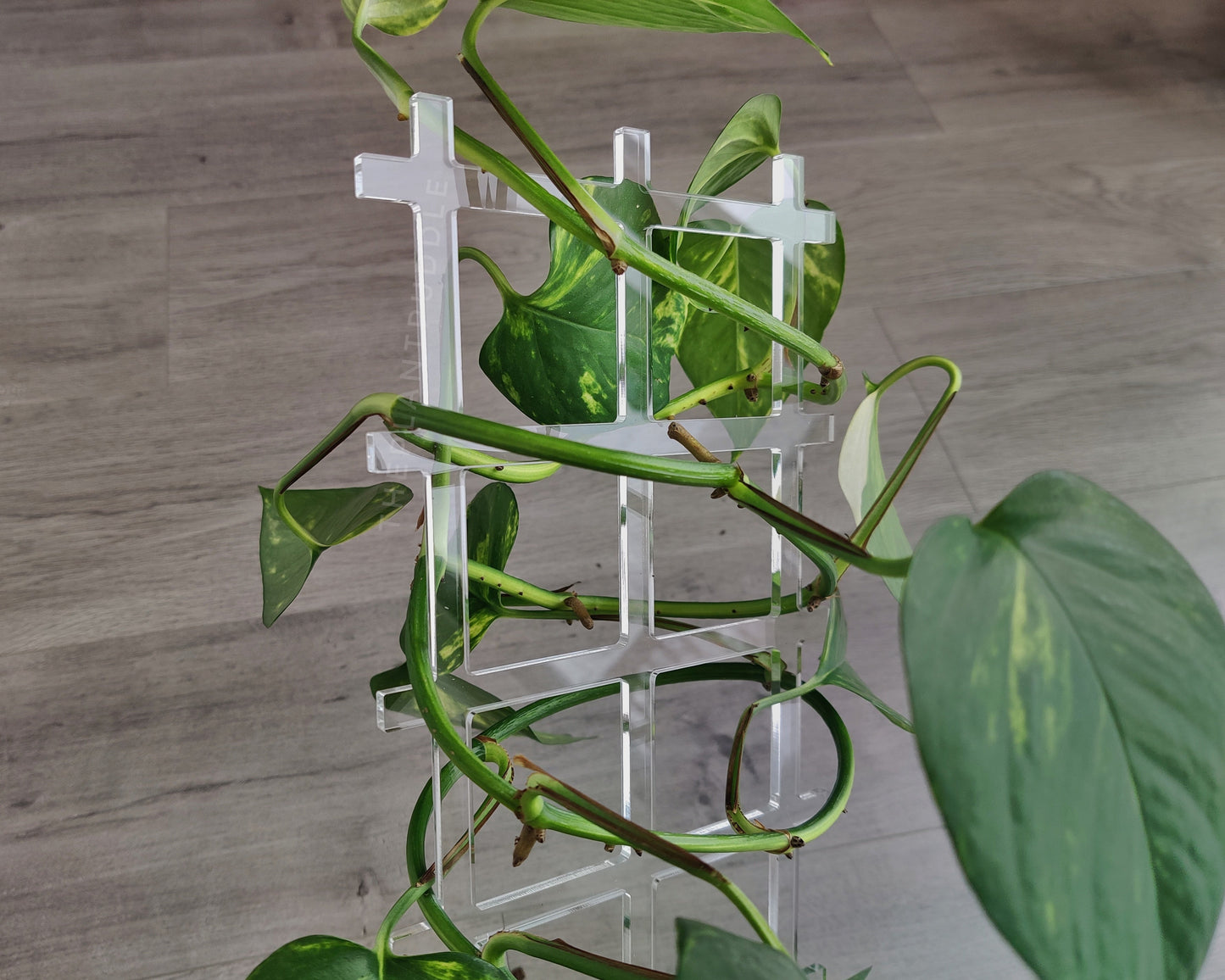 Fence Lattice Plant Trellis - Super Clear Acrylic