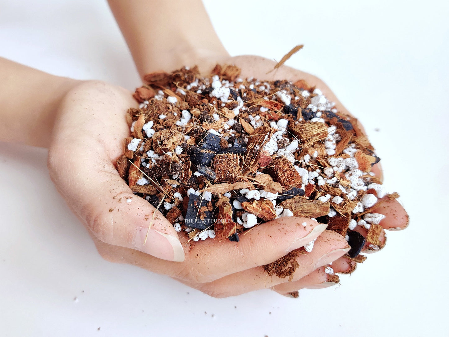 Aroid Potting Mix - Chunky and Soilless, Ready To Use